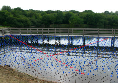 sam dougados, lac marion, lac pouriscot, journée du patrimoine, art environnemental, installations