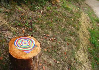 sam dougados, lac marion, lac pouriscot, journée du patrimoine, art environnemental, installations