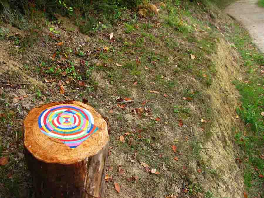 sam dougados, lac marion, lac pouriscot, journée du patrimoine, art environnemental, installations