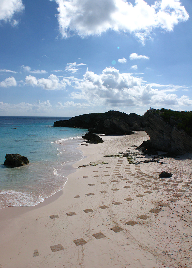 bermudes, bermudas, beach art, dougados, pink sand