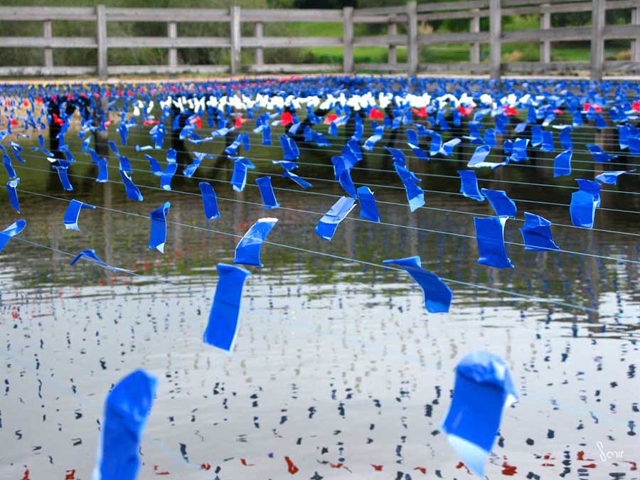 sam dougados, lac marion, lac pouriscot, journée du patrimoine, art environnemental, installations