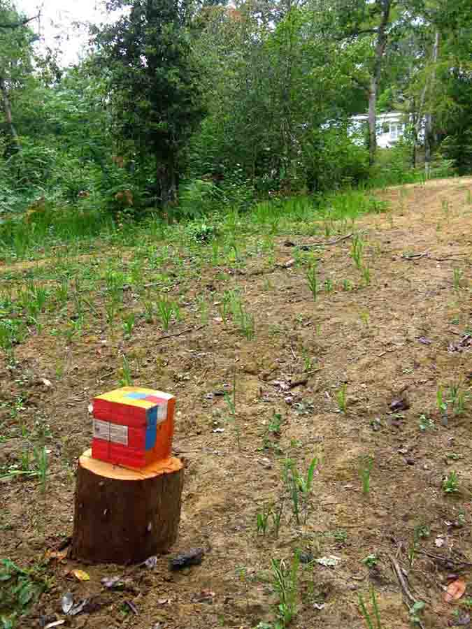 sam dougados, lac marion, lac pouriscot, journée du patrimoine, art environnemental, installations