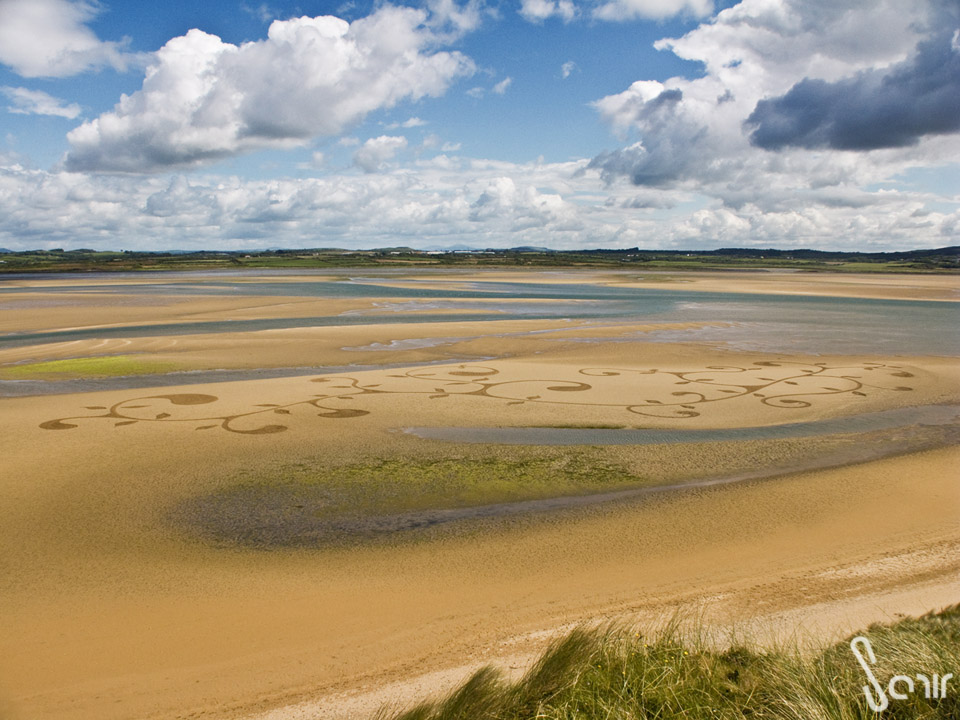 Fécondation Beach art