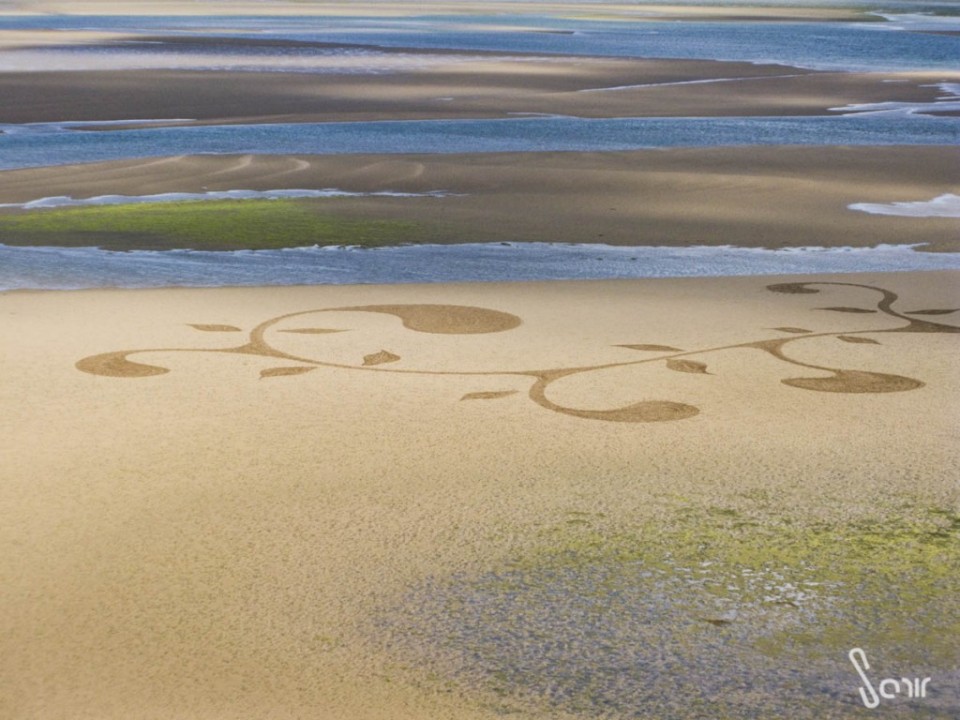 Fécondation Beach art