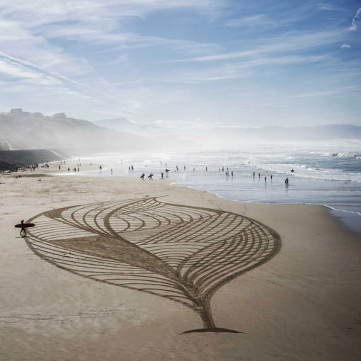 corail, coral, biarritz, dougados, beach art, photography