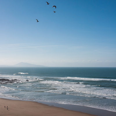 dougados, néologisme, biarritz, seagull