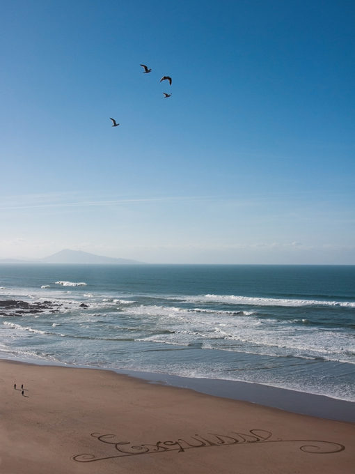 dougados, néologisme, biarritz, seagull