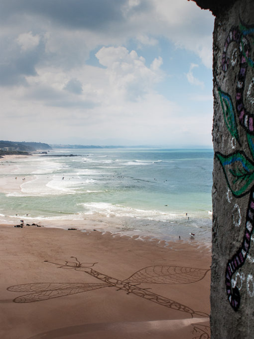 graffiti, dragonfly, libelulle, biarritz, dougados, beach art, ocean