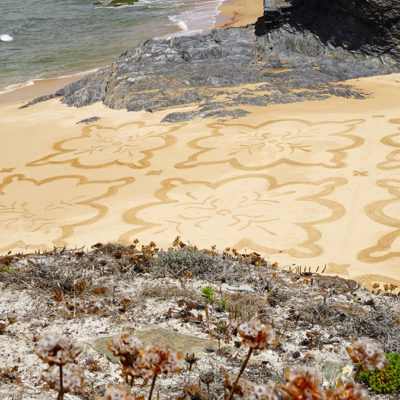 beach art, portugal, sam dougados, villa nova, flower, cliff