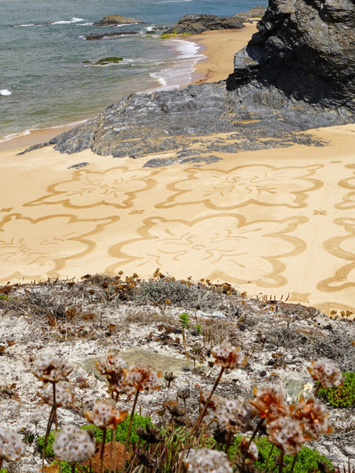 beach art, portugal, sam dougados, villa nova, flower, cliff