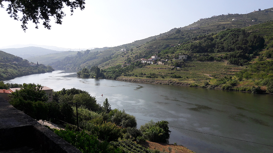 portugal, Douro, vignoble, wine, Porto