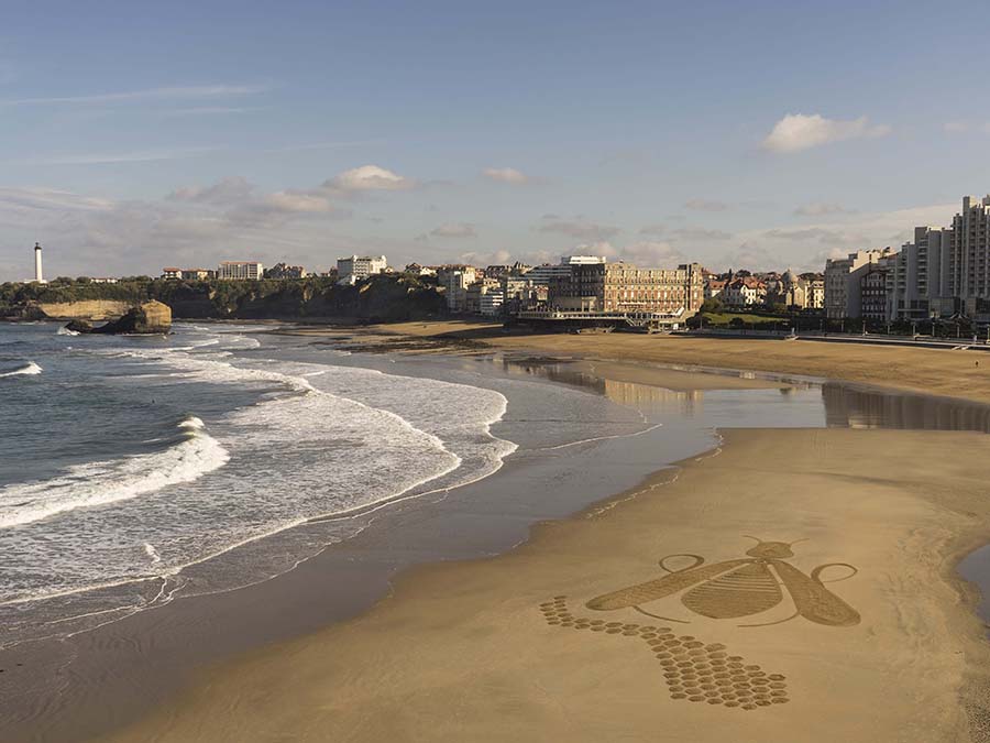abeille, grande plage, biarritz, guerlain, drone, dougados, beach art