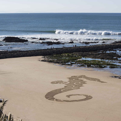 hippocampe, hotel du palais, biarritz,dougados, plage