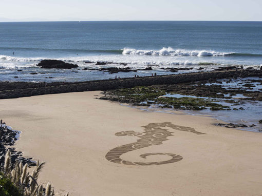 hippocampe, hotel du palais, biarritz,dougados, plage