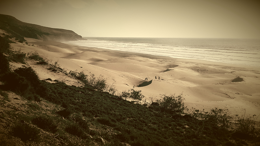 Tafedna, l'âne vert, lodge, dougados, beach art, plage, maroc, morroco