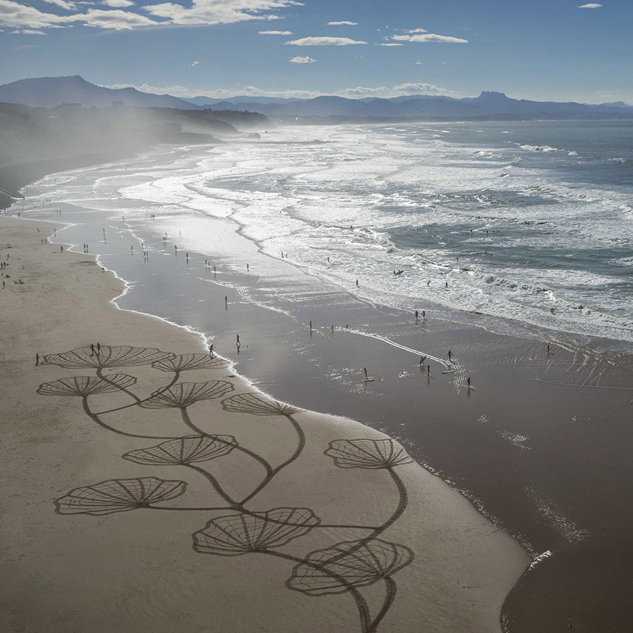 Sam Dougados, beach art, biarritz