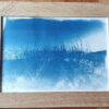 Touffe – Image 2